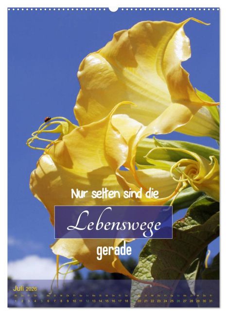 InsideView 11