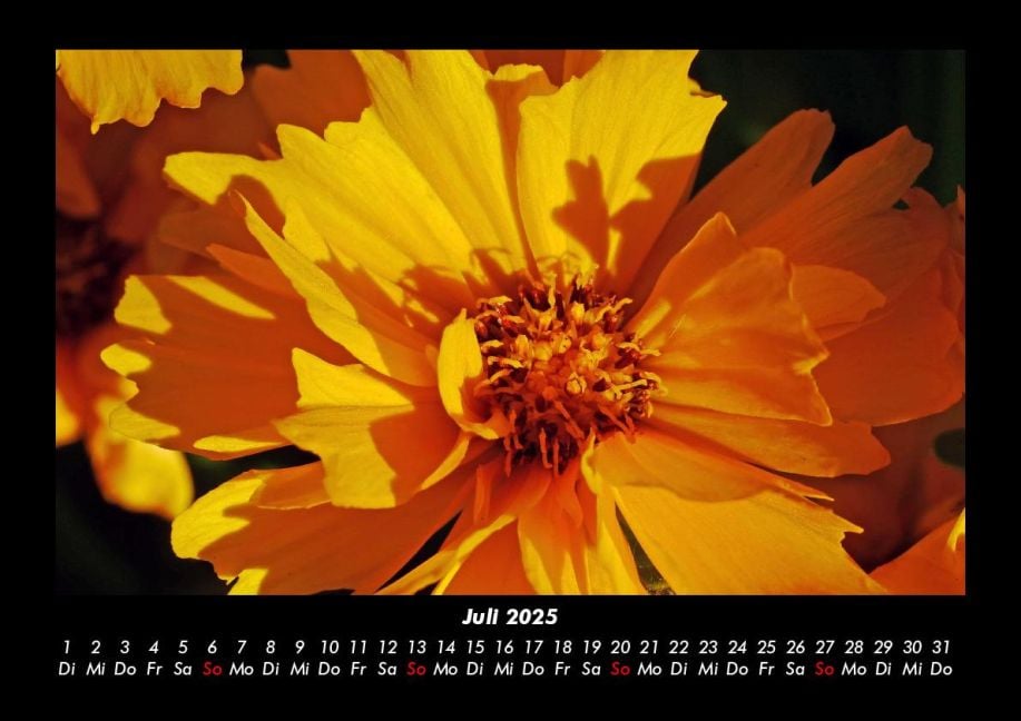 InsideView 11