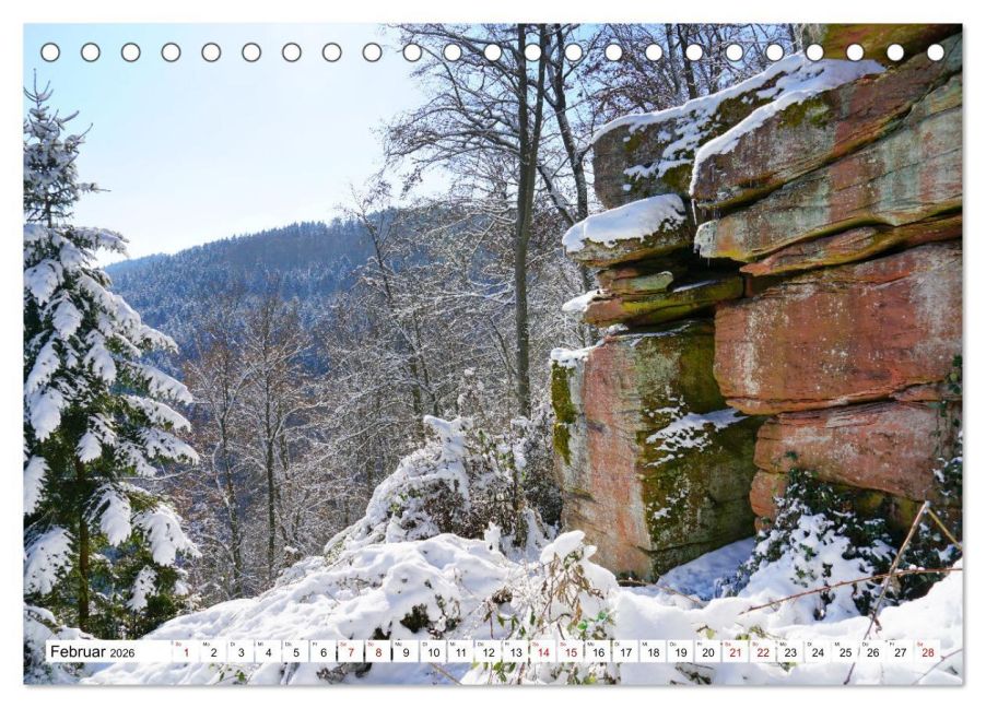 InsideView 7