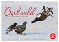 Emotionale Momente: Birkwild (Wandkalender 2025 DIN A3 quer), CALVENDO Monatskalender - Ingo Gerlach