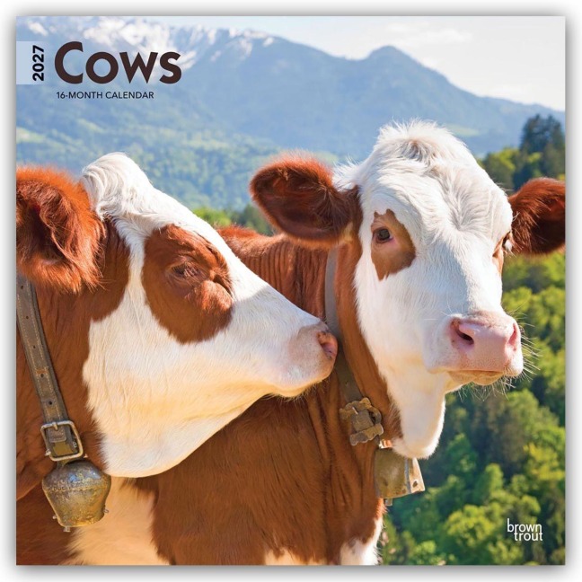 Cows - Kühe 2027 - 16-Monatskalender - Browntrout Publishers