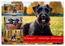 Cover-Bild zum Titel 'Schnauzer - vielseitige Allrounder (Wandkalender 2026 DIN A3 quer), CALVENDO Monatskalender' von 'Claudia Kleemann'