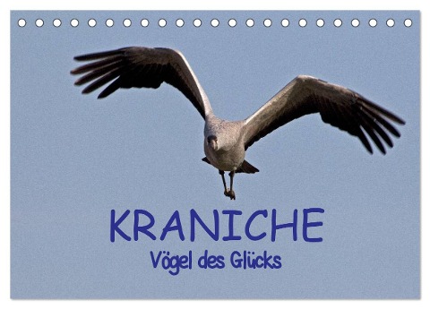 Kraniche - Vögel des Glücks (Tischkalender 2025 DIN A5 quer), CALVENDO Monatskalender - Ralf Weise