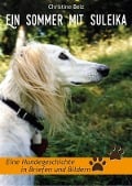 Cover-Bild zum Titel 'Ein Sommer mit Suleika' von 'Christine Belz'