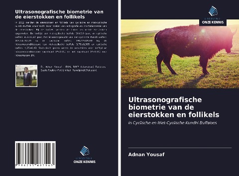 Ultrasonografische biometrie van de eierstokken en follikels - Adnan Yousaf
