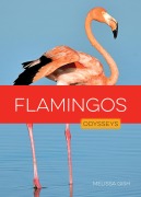 Cover-Bild zum Titel 'Flamingos' von 'Melissa Gish'