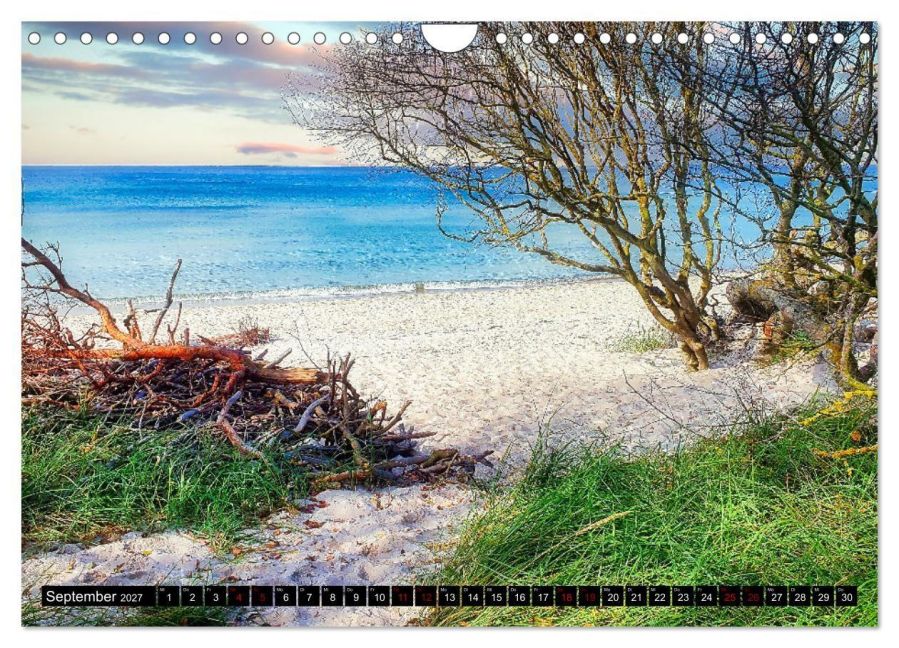 InsideView 14
