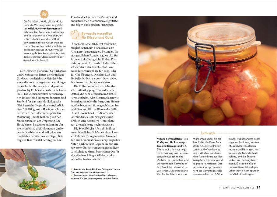 InsideView 10