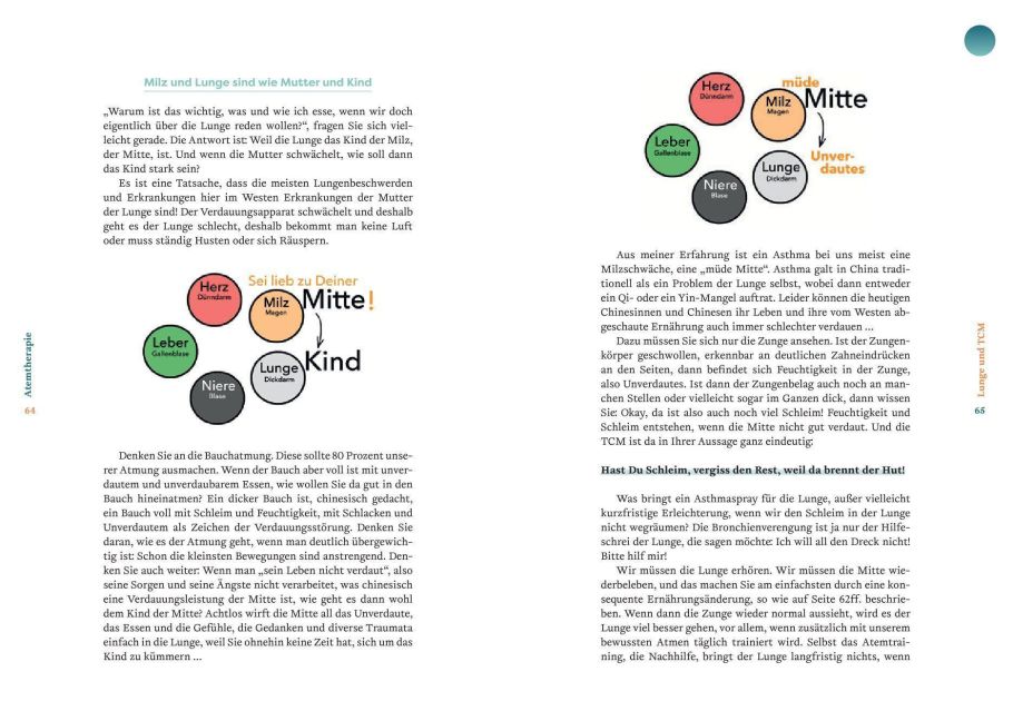 InsideView 6