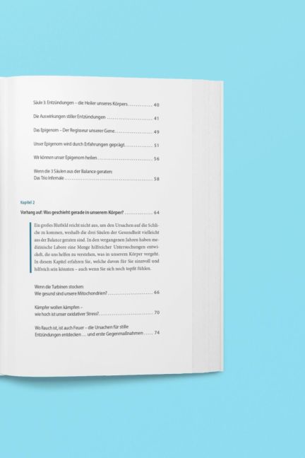 InsideView 2