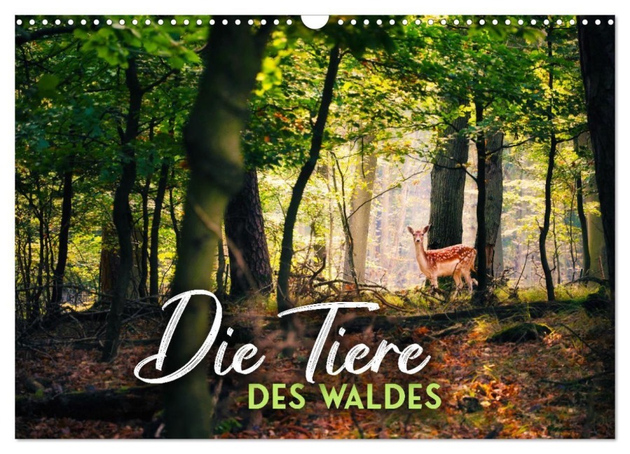 Die Tiere des Waldes (Wandkalender 2027 DIN A3 quer), CALVENDO Monatskalender - Happy Monkey