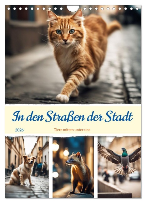 In den Straßen der Stadt - Tiere mitten unter uns (Wandkalender 2026 DIN A4 hoch), CALVENDO Monatskalender - Martina Marten