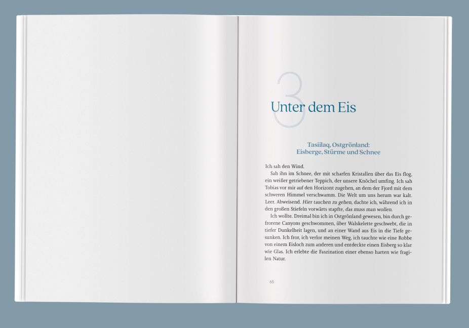 InsideView 3