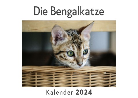 Die Bengalkatze (Wandkalender 2024, Kalender DIN A4 quer, Monatskalender im Querformat mit Kalendarium, Das perfekte Geschenk) - Anna Müller