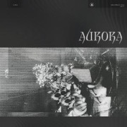 Cover-Bild zum Titel 'Aurora' von 'Lathe of Heaven'