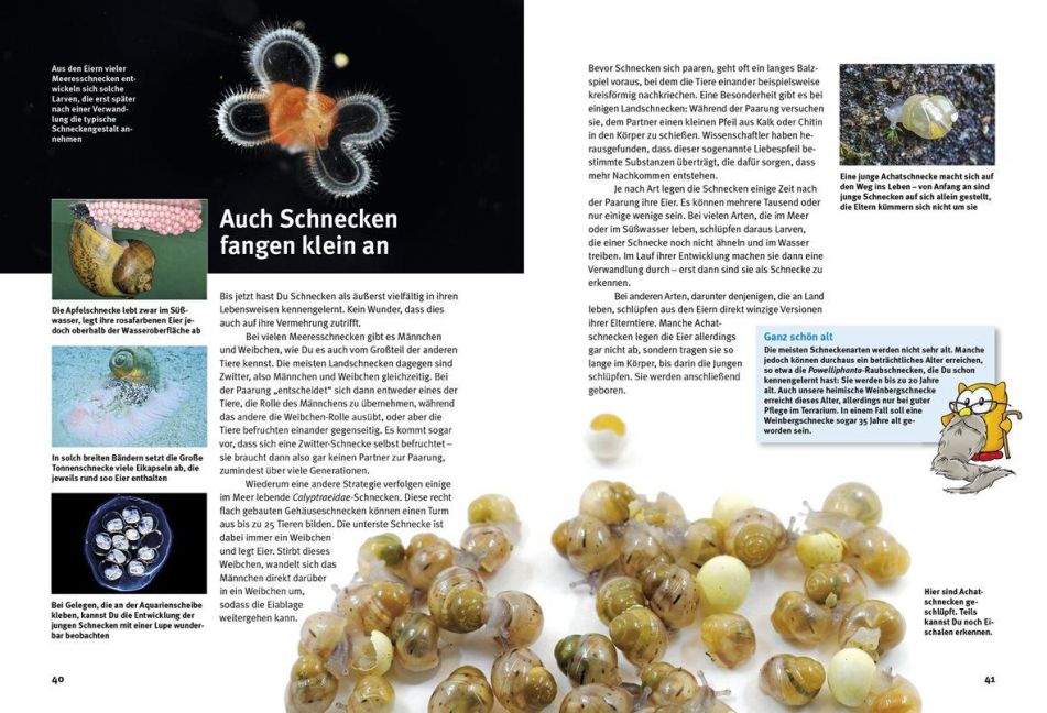 InsideView 3