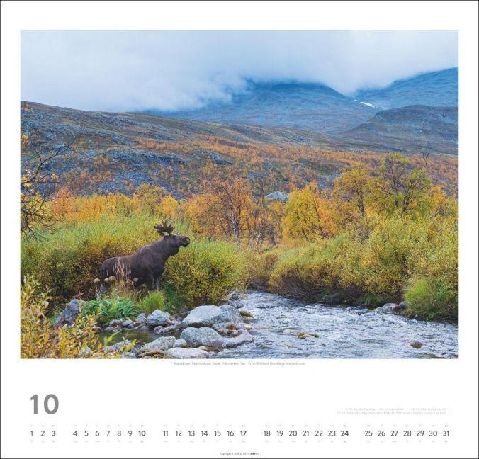 InsideView 10
