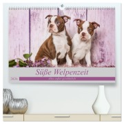 Cover-Bild zum Titel 'Süße Welpenzeit - Alles außer gewöhnlich (hochwertiger Premium Wandkalender 2026 DIN A2 quer), Kunstdruck in Hochglanz' von 'Nicola Kassat'