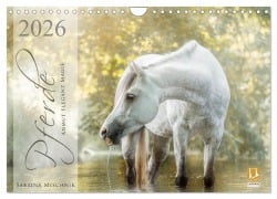 Cover-Bild zum Titel 'Pferde - Anmut, Eleganz, Magie (Wandkalender 2026 DIN A4 quer), CALVENDO Monatskalender' von 'Sabrina Mischnik'