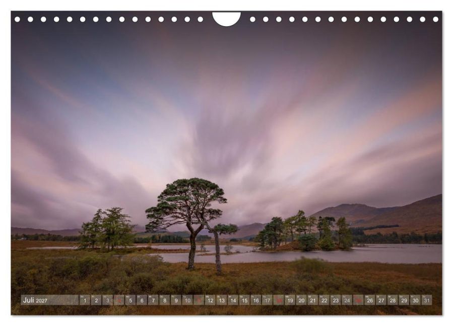 InsideView 12