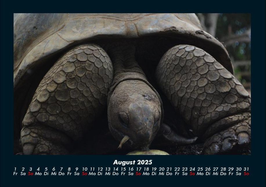 InsideView 12