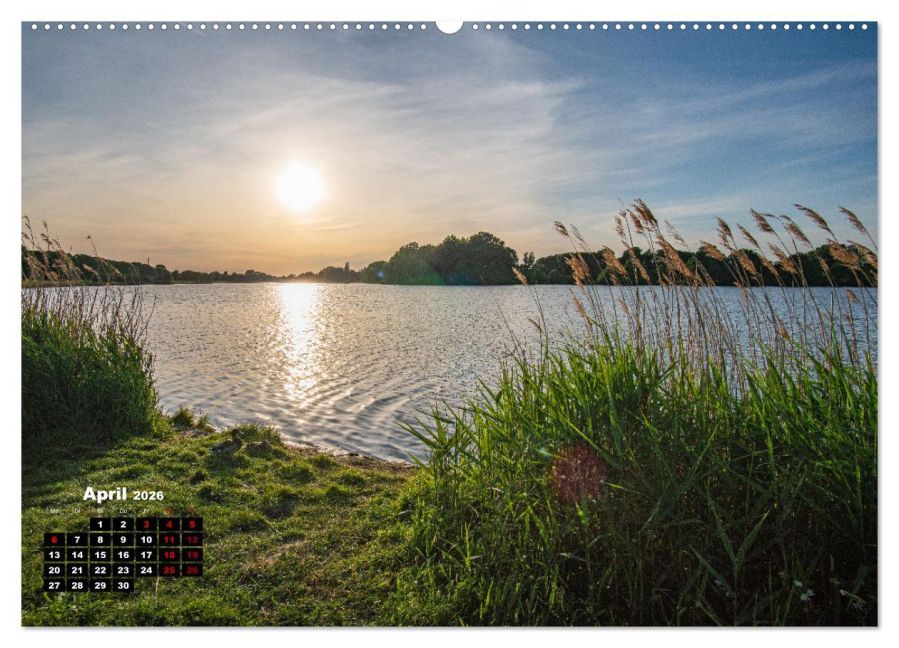 InsideView 8