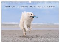 Mit Hunden an den Stränden von Nord- und Ostsee (Wandkalender 2025 DIN A3 quer), CALVENDO Monatskalender - Monika Scheurer