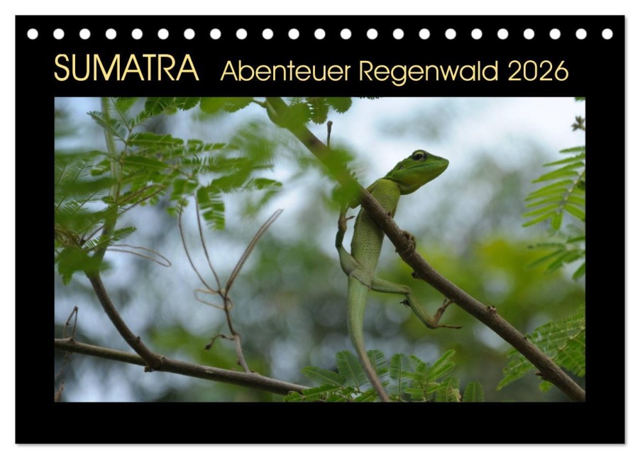 SUMATRA Abenteuer Regenwald (Tischkalender 2026 DIN A5 quer), CALVENDO Monatskalender - Bettina Grallert