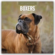 Cover-Bild zum Titel 'Boxers - Deutscher Boxer 2027 - 16-Monatskalender' von 'Robin Red'