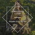 Cover-Bild zum Titel 'La Princesse de Clèves' von 'Madame De La Fayette'