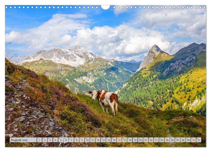 InsideView 13