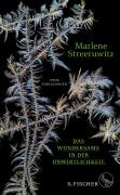 Cover-Bild zum Titel 'Das Wundersame in der Unwirtlichkeit.' von 'Marlene Streeruwitz'