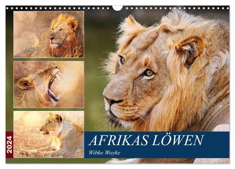 Afrikas Löwen 2024 (Wandkalender 2024 DIN A3 quer), CALVENDO Monatskalender - Wibke Woyke