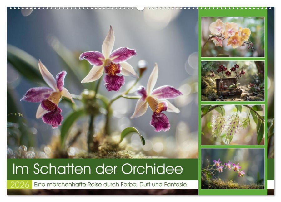 Im Schatten der Orchidee (Wandkalender 2026 DIN A2 quer), CALVENDO Monatskalender - Steffen Gierok-Latniak