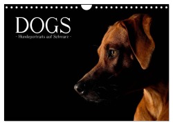 Dogs (Wandkalender 2026 DIN A4 quer), CALVENDO Monatskalender - Nicole Noack