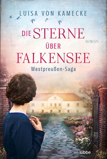 Die Sterne über Falkensee - Luisa von Kamecke