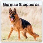 German Shepherds - Deutsche Schäferhunde 2026 - 16-Monatskalender - Browntrout Publishers