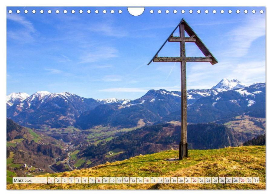 InsideView 8