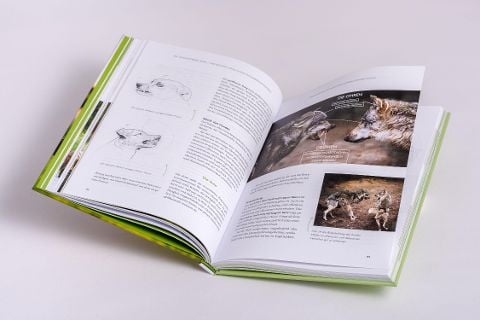 InsideView 7