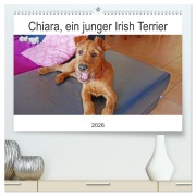 Cover-Bild zum Titel 'Chiara, ein junger Irish Terrier (hochwertiger Premium Wandkalender 2026 DIN A2 quer), Kunstdruck in Hochglanz' von 'Claudia Schimon'