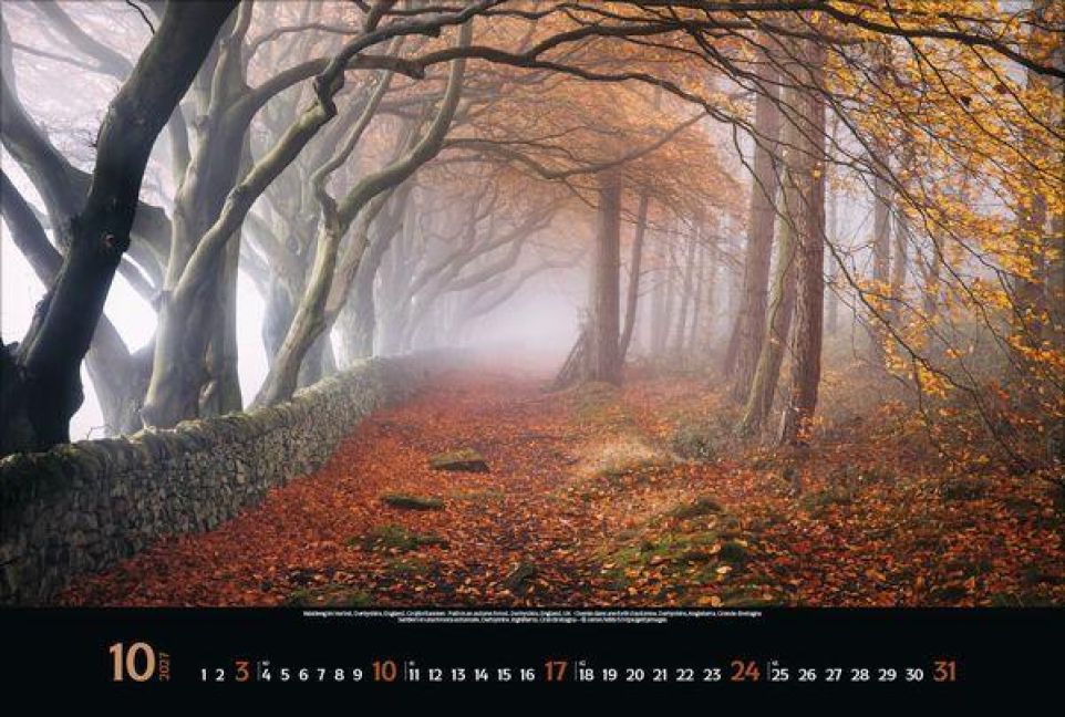 InsideView 10