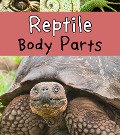 Reptile Body Parts - Clare Lewis