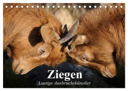 Ziegen. Lustige Ausbruchskünstler (Tischkalender 2026 DIN A5 quer), CALVENDO Monatskalender - Elisabeth Stanzer