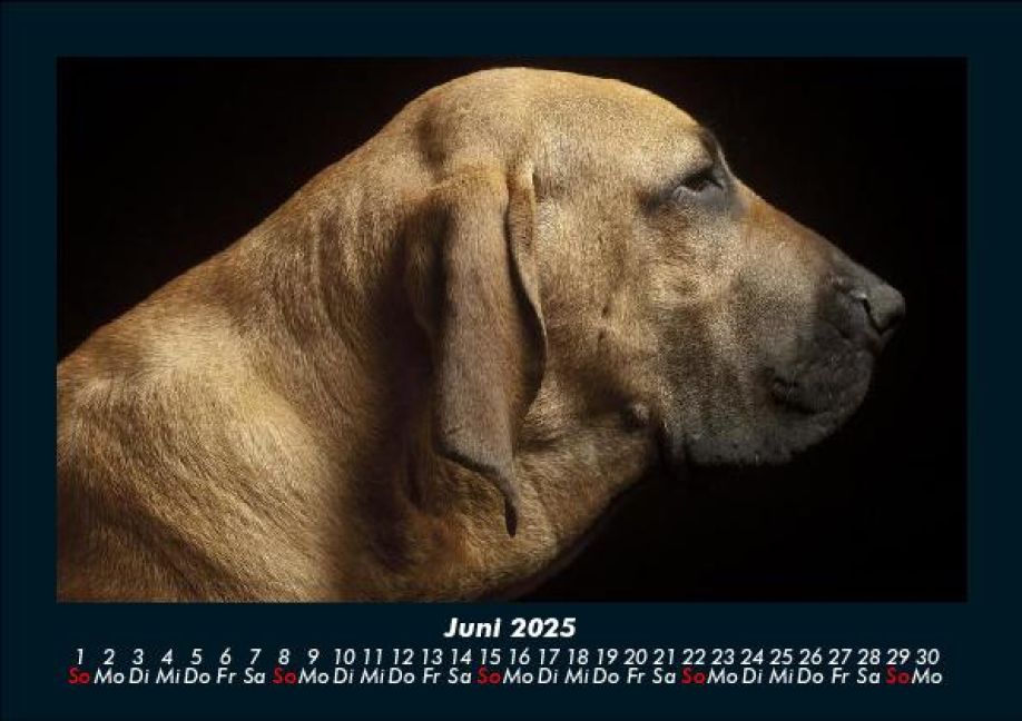 InsideView 10