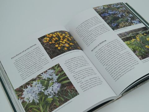 InsideView 6
