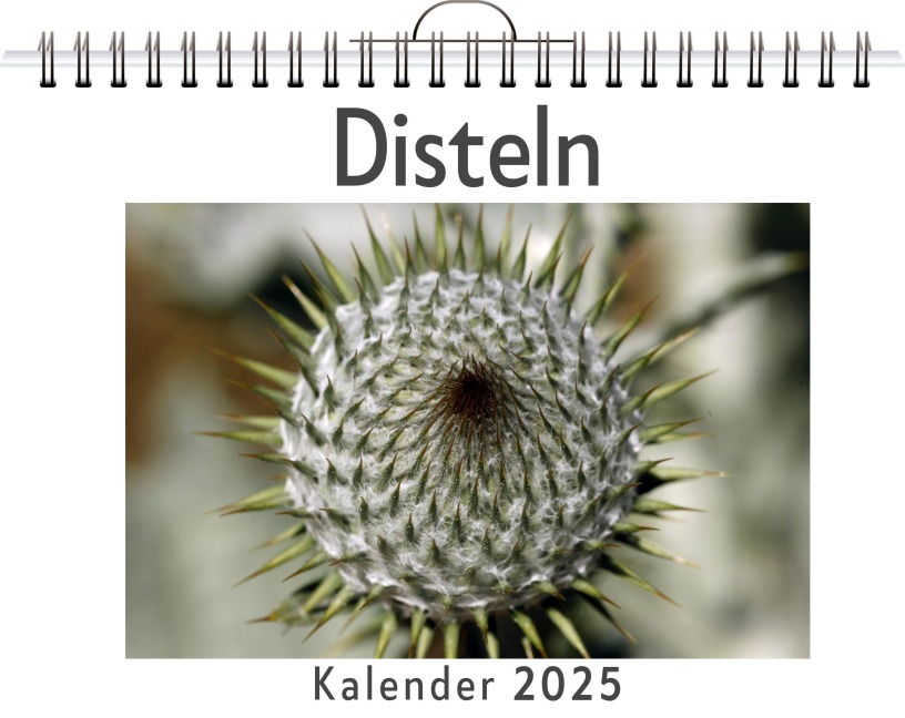 Disteln - Finn Hartmann