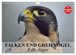 Cover-Bild zum Titel 'Falken und Greifvögel - Edle Jäger (Wandkalender 2026 DIN A4 quer), CALVENDO Monatskalender' von 'Elisabeth Stanzer'