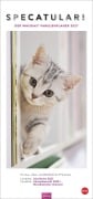 Cover-Bild zum Titel 'Whiskas Familienplaner 2027' von ''