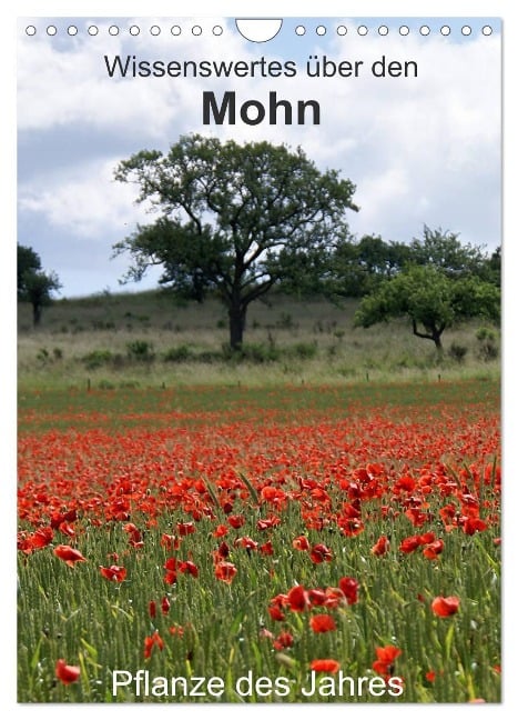 Wissenswertes über den Mohn - Pflanze des Jahres (Wandkalender 2025 DIN A4 hoch), CALVENDO Monatskalender - Georg Schmitt