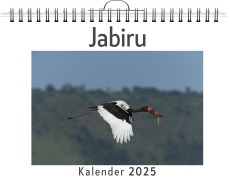 Cover-Bild zum Titel 'Jabiru - (Wandkalender 2025, Kalender DIN A4 quer, Monatskalender im Querformat mit Kalendarium, das perfekte Geschenk)' von 'Charlotte Günther'